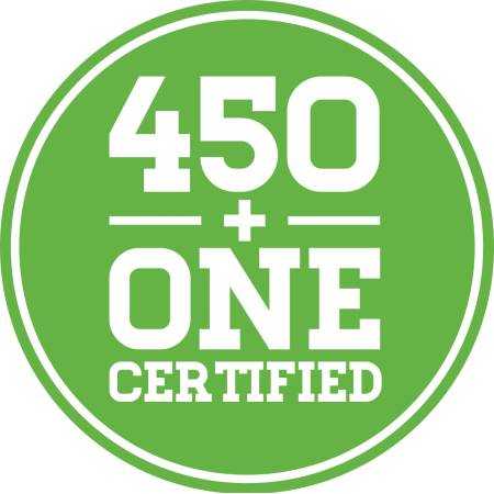 450+ 1 Logo