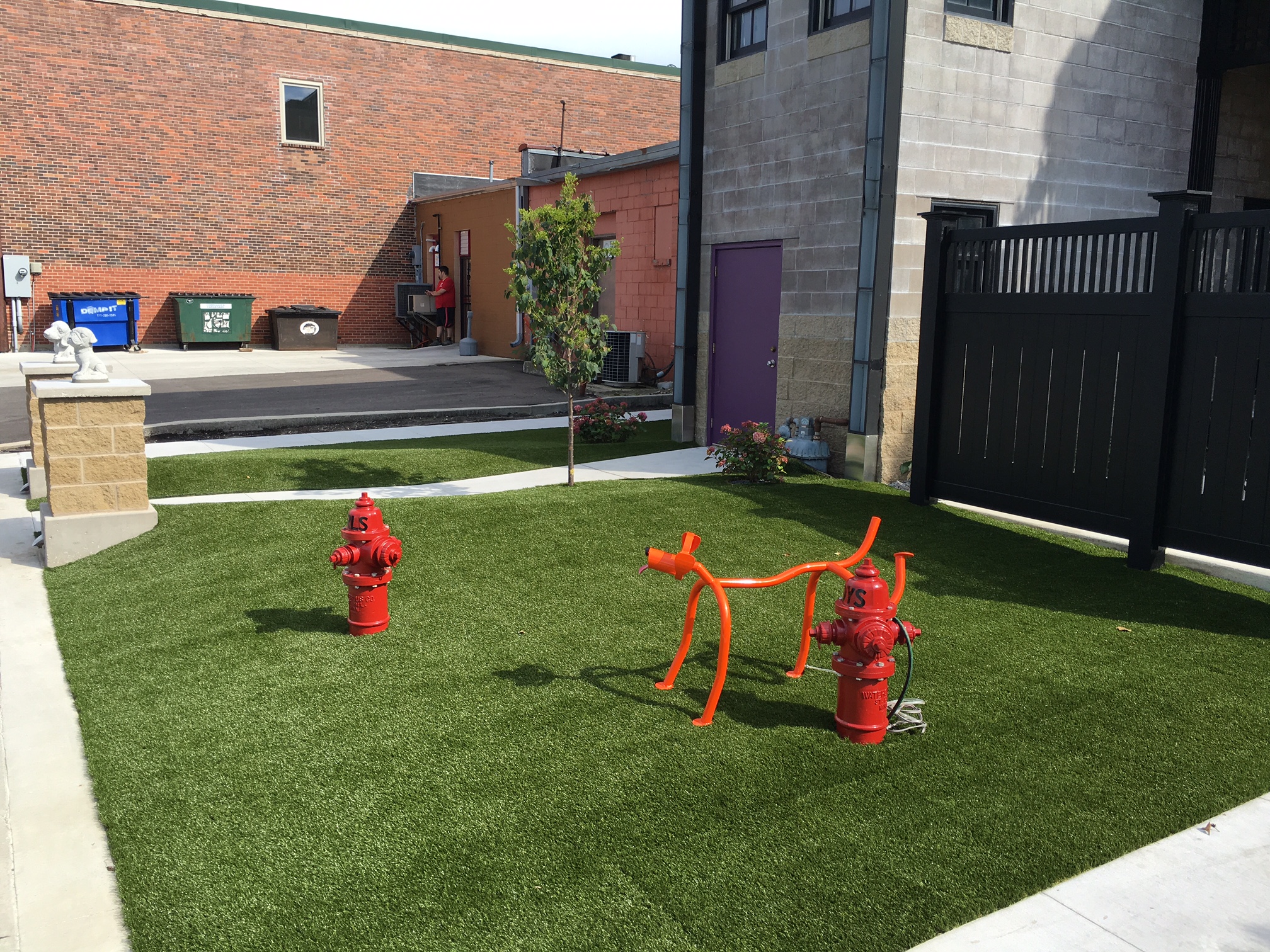 What to Know Before You Design a Dog Park Surface in Sarasota