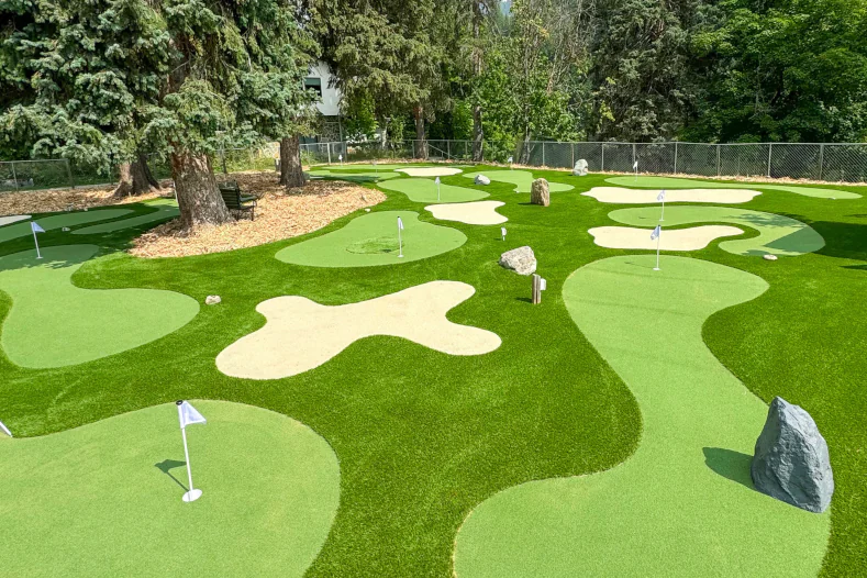 229SG Tips Elite Putt